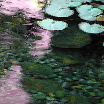 Image ©Richard Alan Fox All Rights Reserved